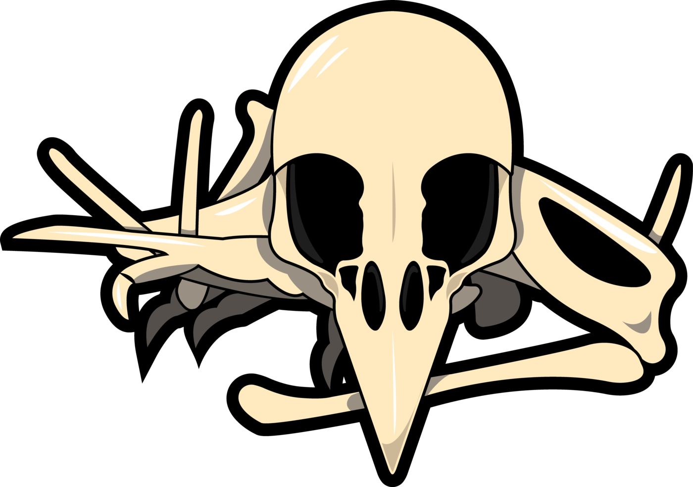 Bird Skull Illustration PNG