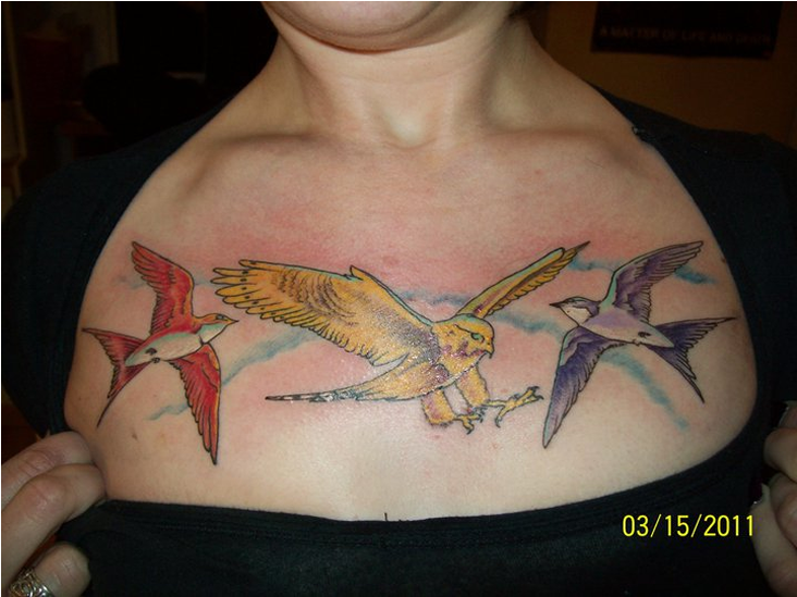 Bird Tattoo Chest Piece2011 PNG