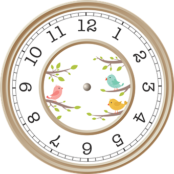 Bird Themed Wall Clock PNG