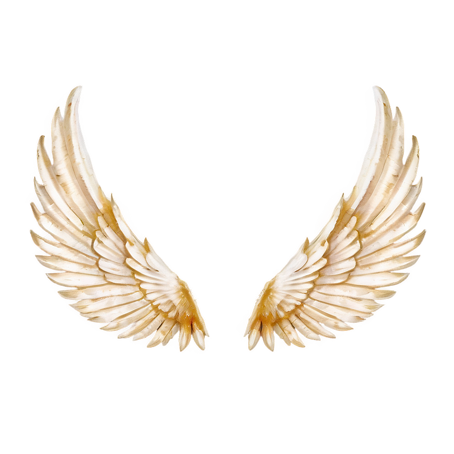 Bird Wings Png 05032024 PNG