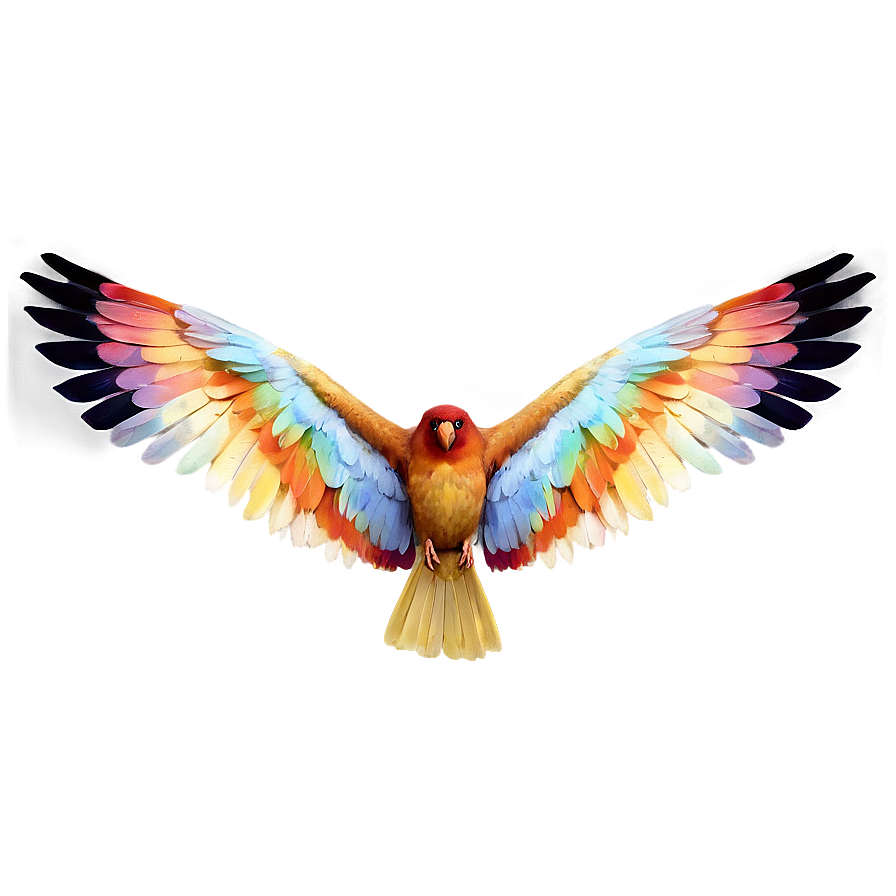 Bird Wings Spread Png Ian PNG