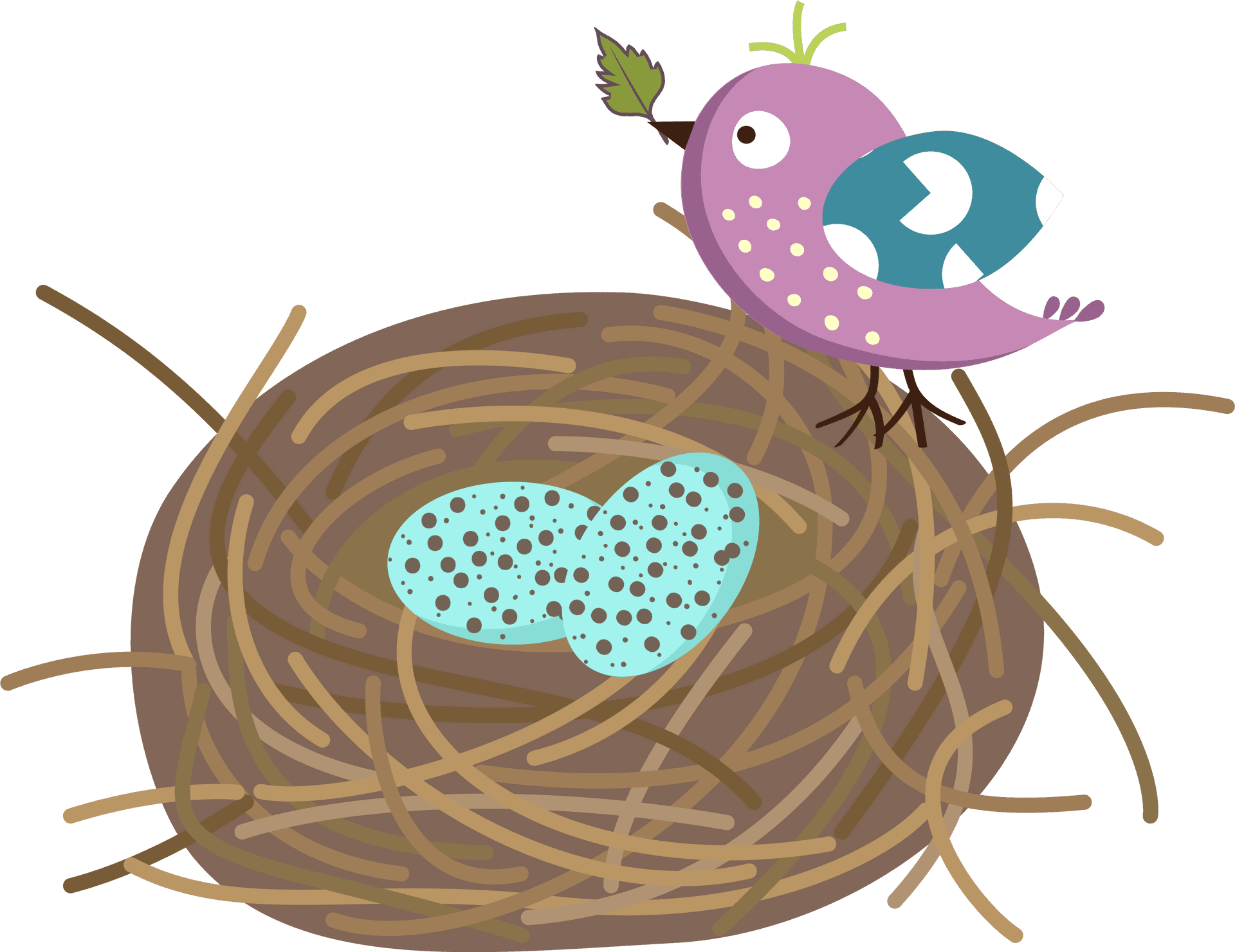 Birdand Eggsin Nest Illustration PNG