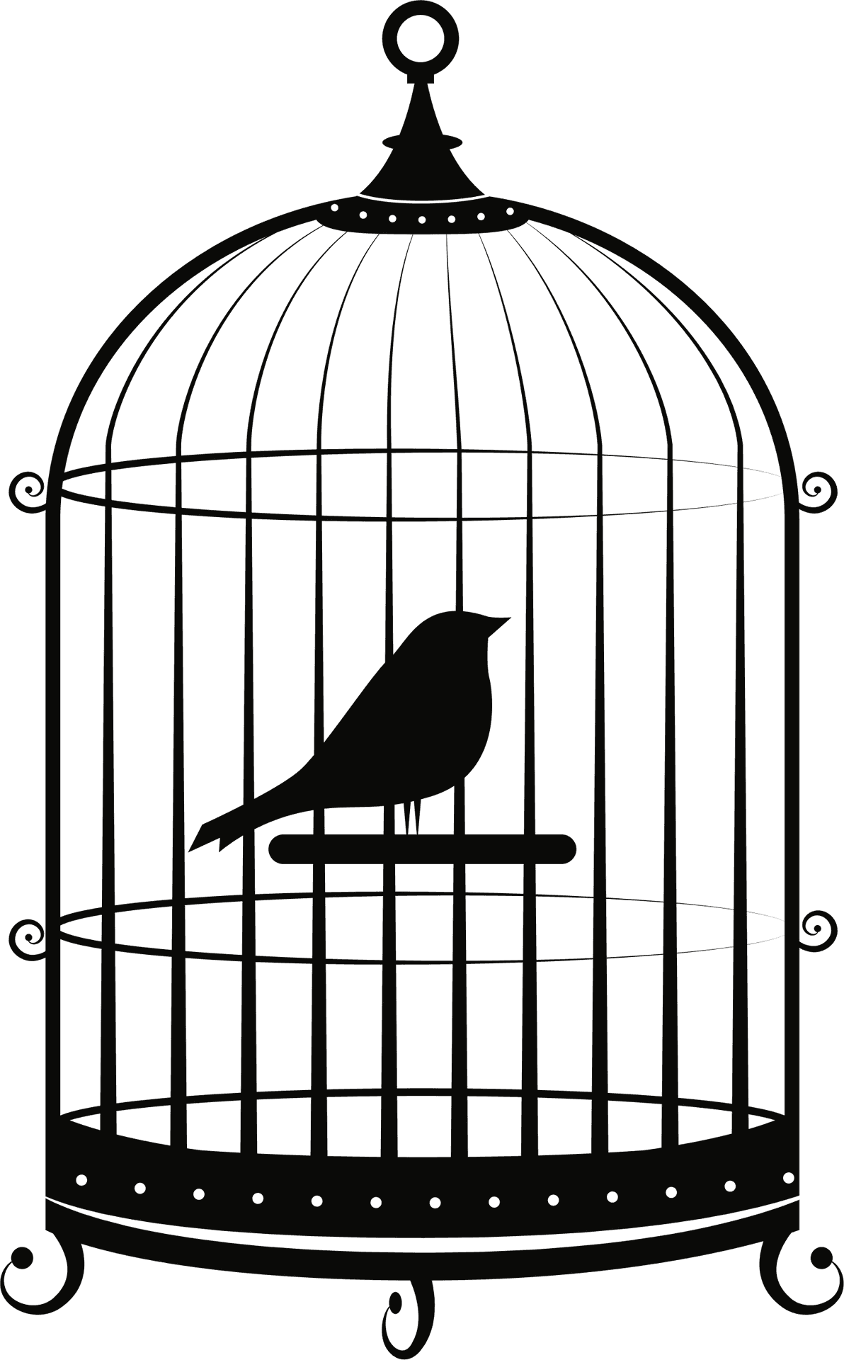 Birdin Cage Silhouette PNG