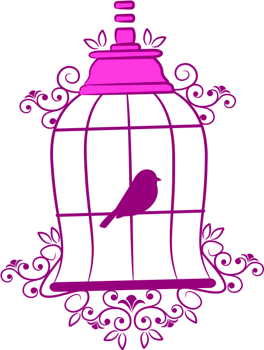 Birdin Decorative Cage Illustration PNG