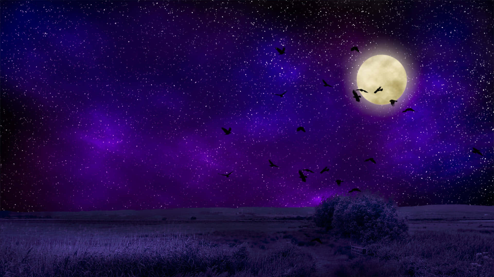 Uccellie Cielo Notturno Stellato Con La Luna Sfondo