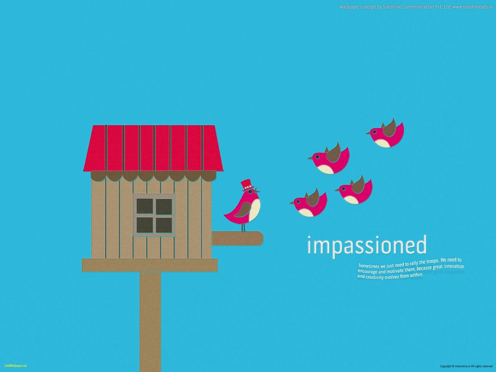 Birds Birdhouse Impassioned Inspirational