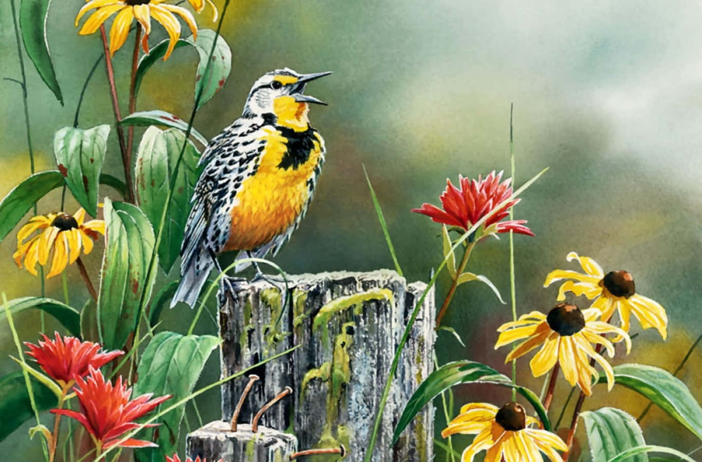 Beautiful Birds Chirping in Nature Wallpaper