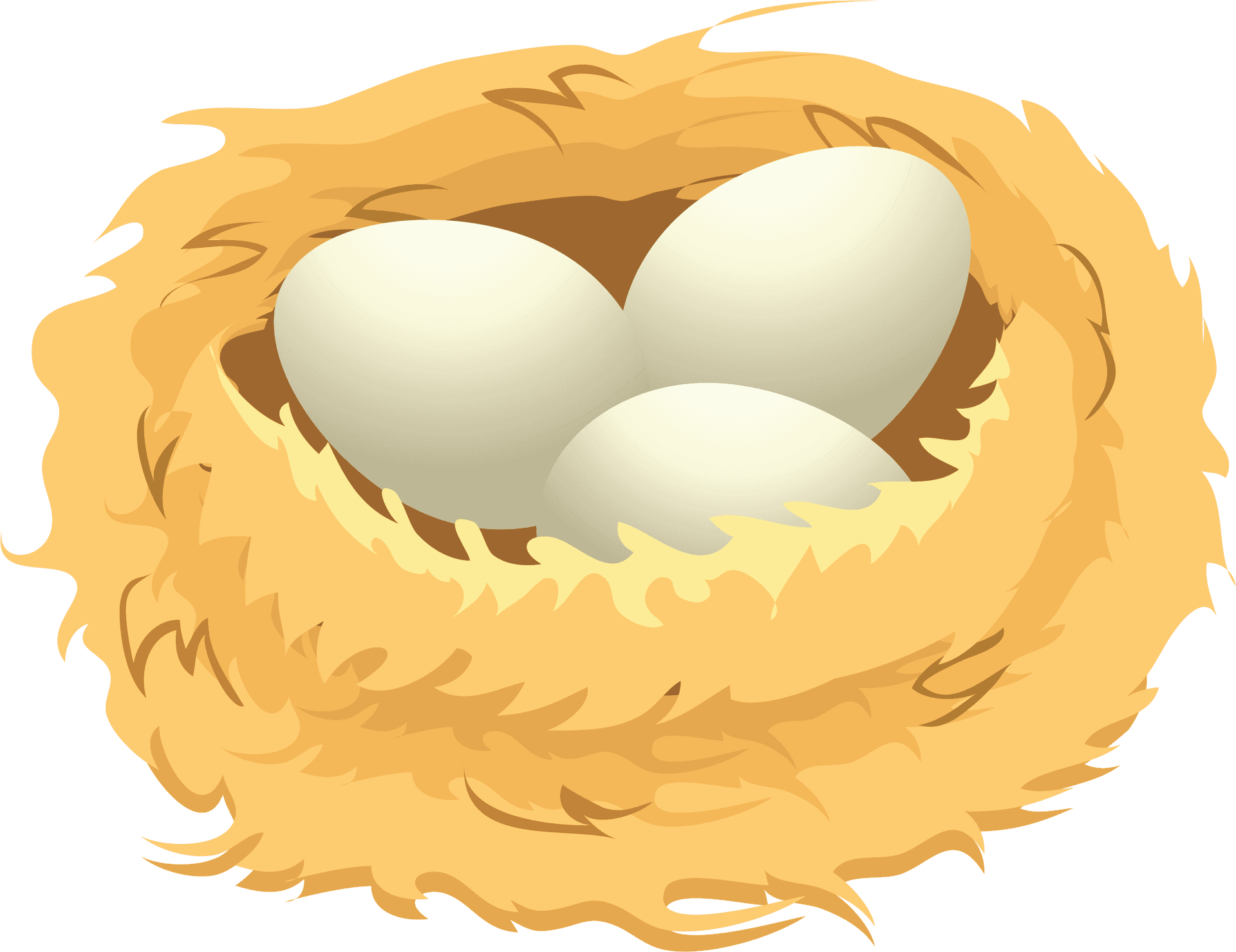 Birds Eggsin Nest Illustration PNG