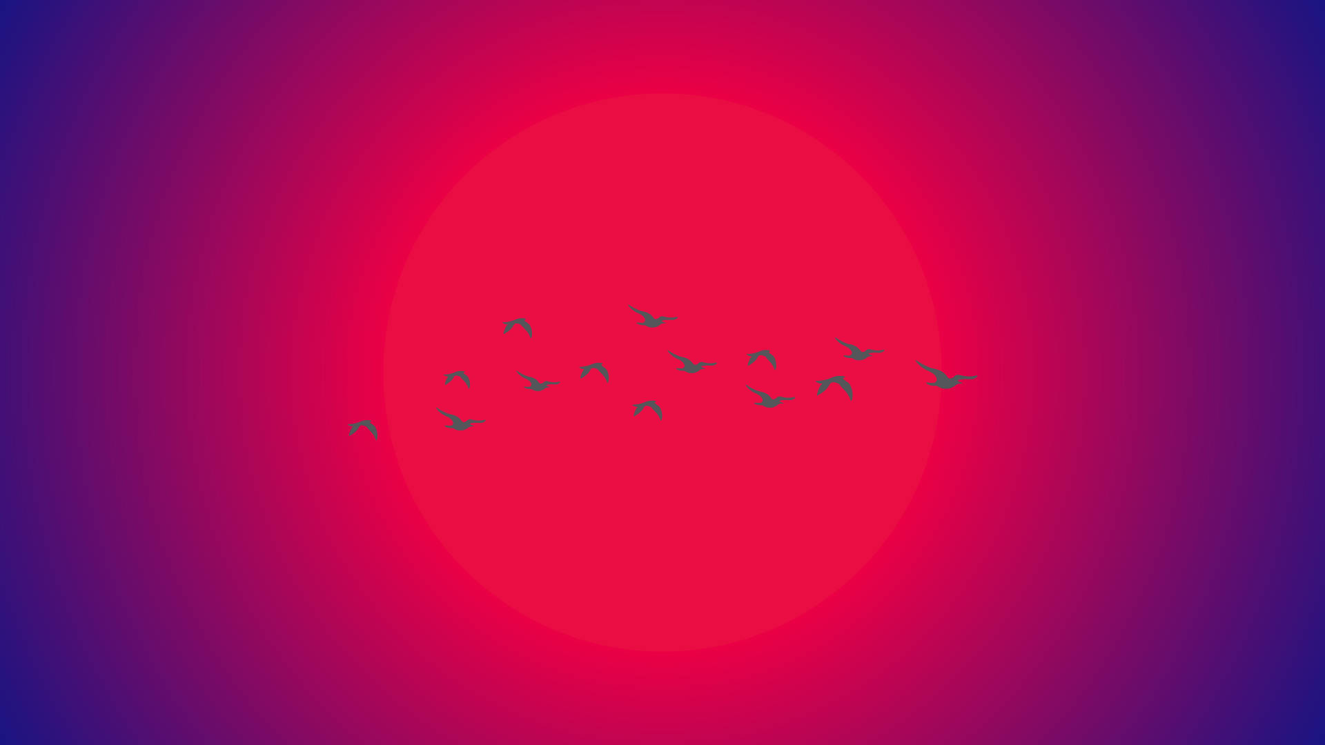 Birds Flying Against The Sun Minimalist Aesthetic Laptop Wallpaper