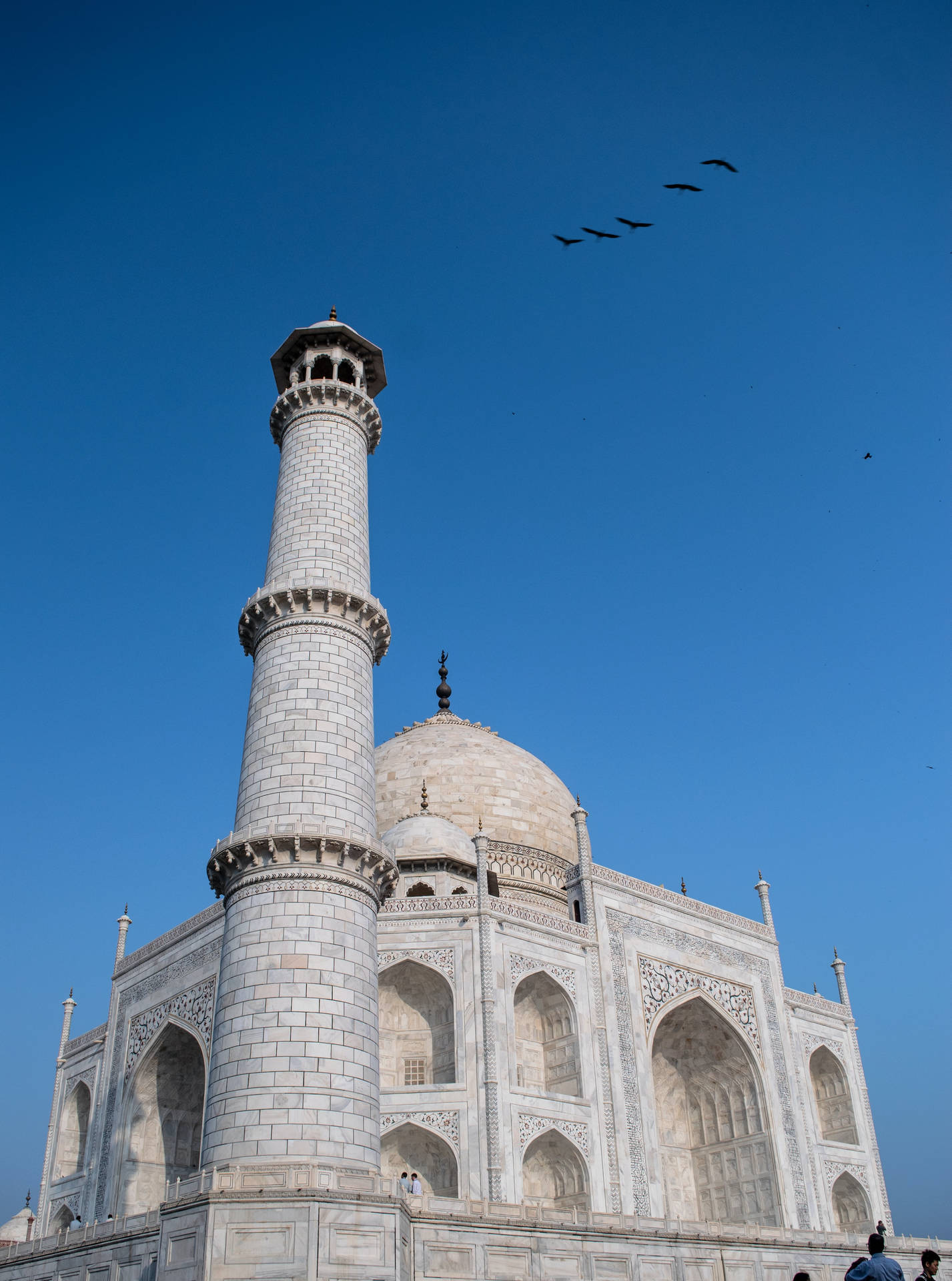 Birds Flying Over The Taj Mahal Wallpaper