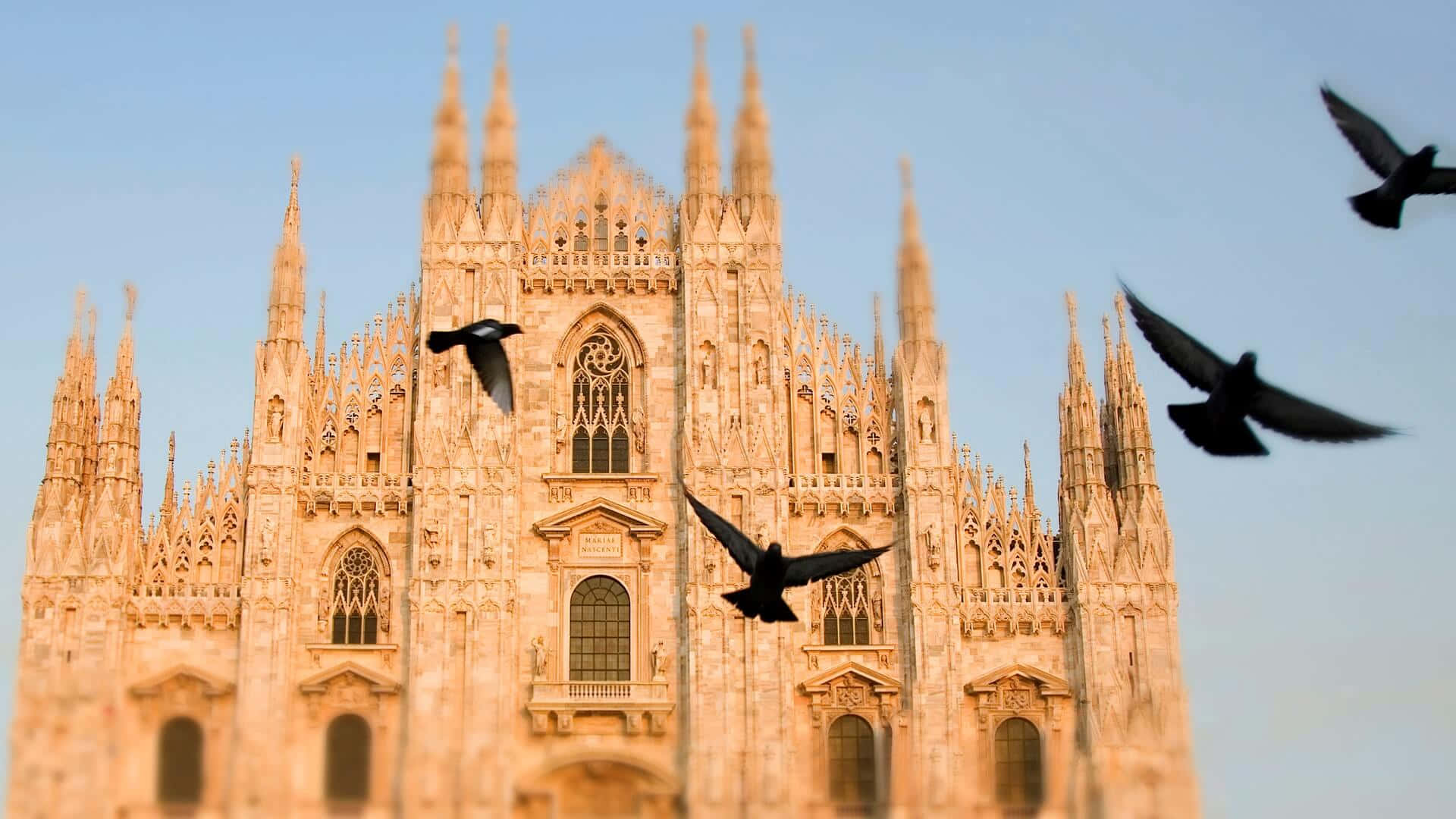 Birds In Front Of Milan Cathedral Wallpaper