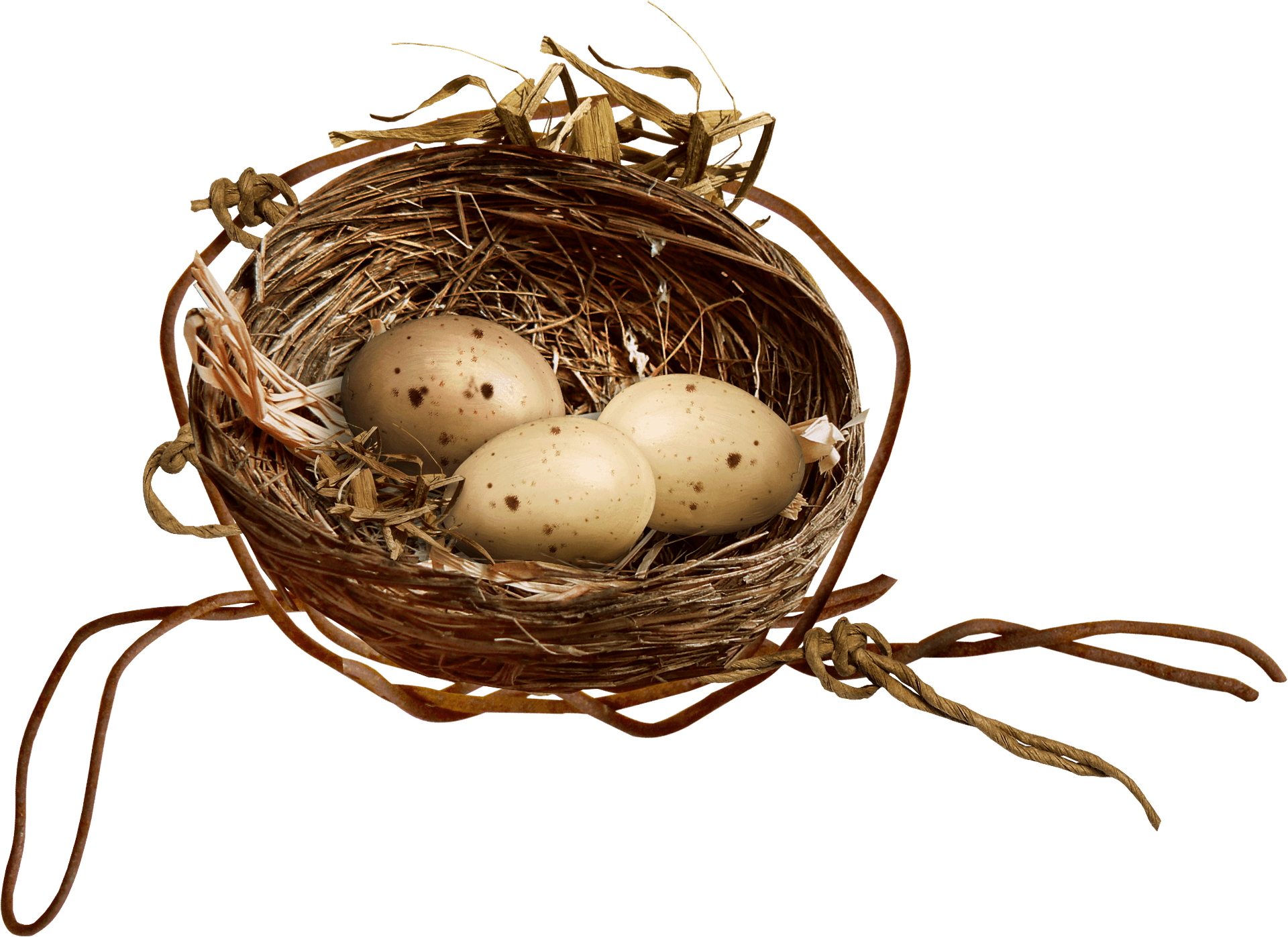 Birds Nestwith Eggs.png PNG
