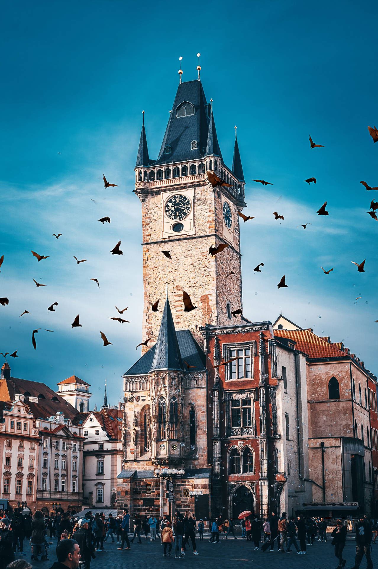 Birds Over Prague Czech Republic