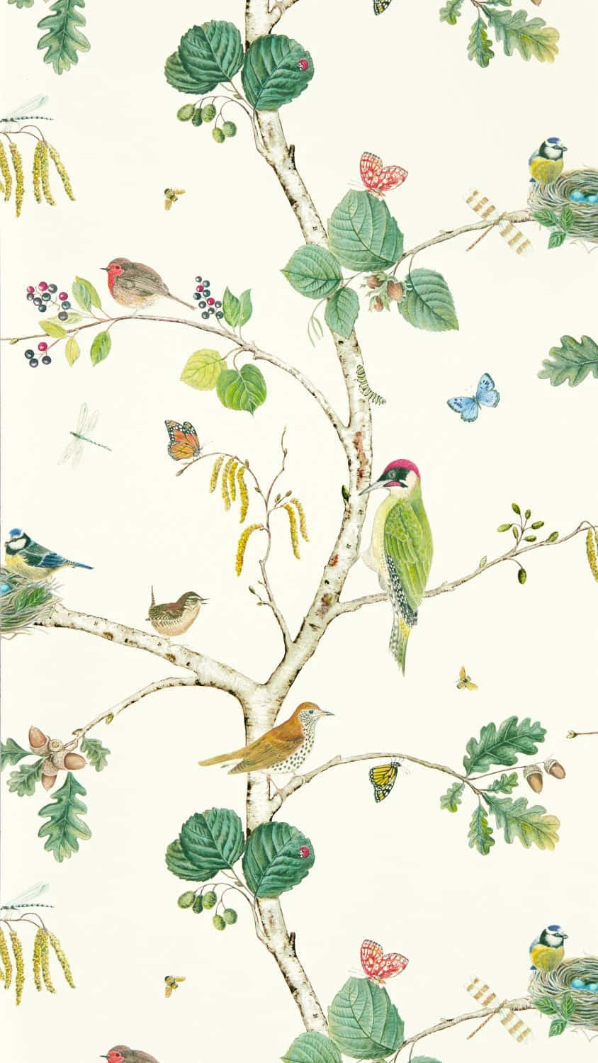 Birdsand Butterflies Nature Pattern Wallpaper
