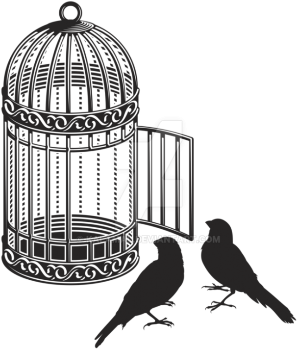 Birdsand Open Cage Illustration PNG