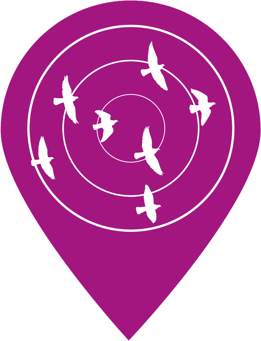 Birdsin Flight Navigation Icon PNG