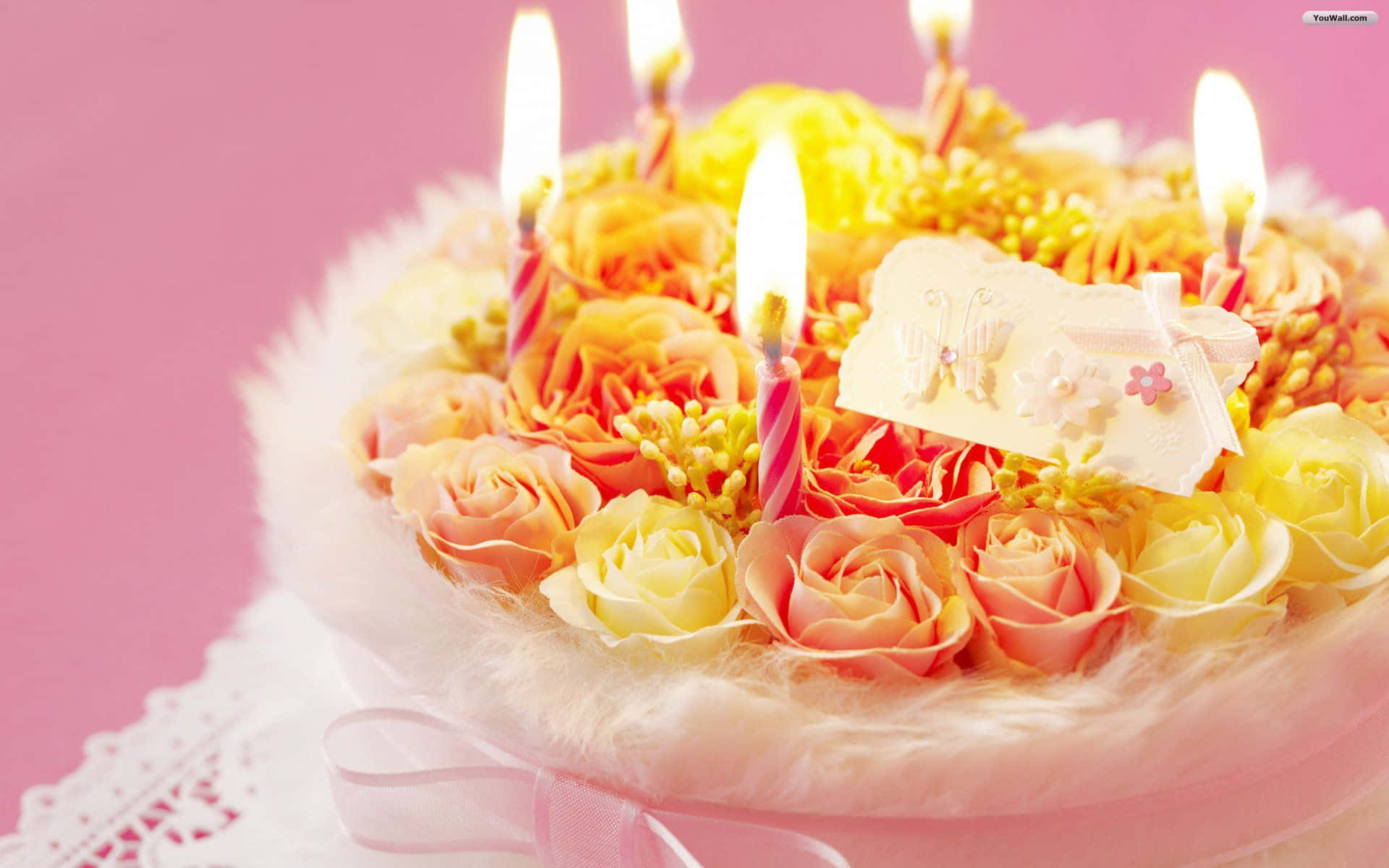 Birthday Cake With Warm Roses Background