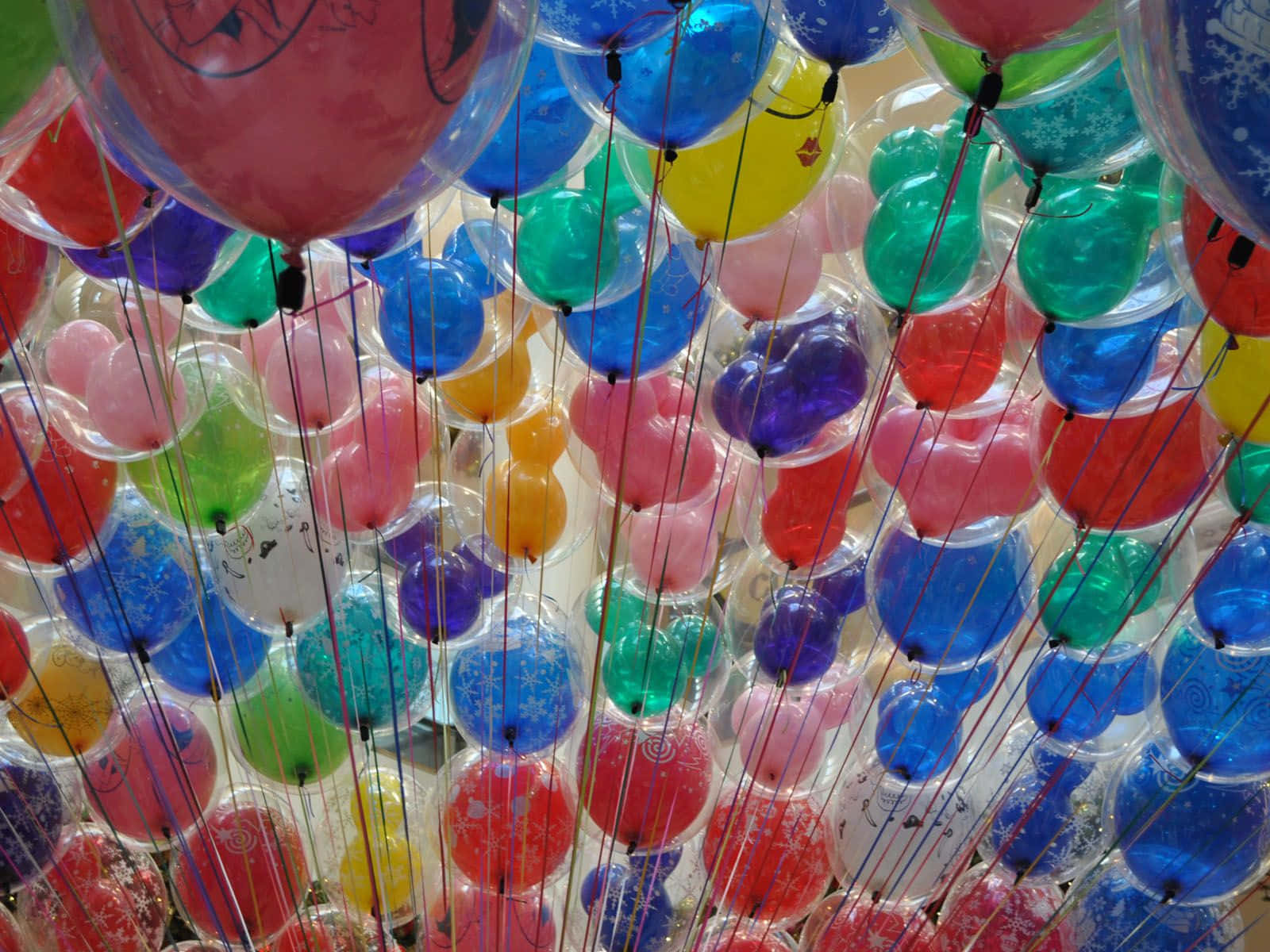 Födelsedagsballongermed Genomskinliga Ballonger Bild.