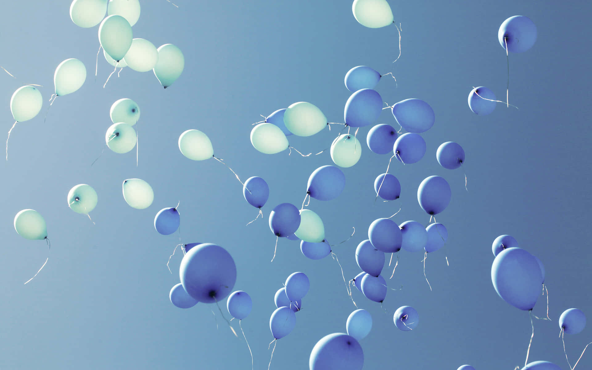 Geburtstagsballonsin Blau Und Weiß Auf Einem Himmelbild