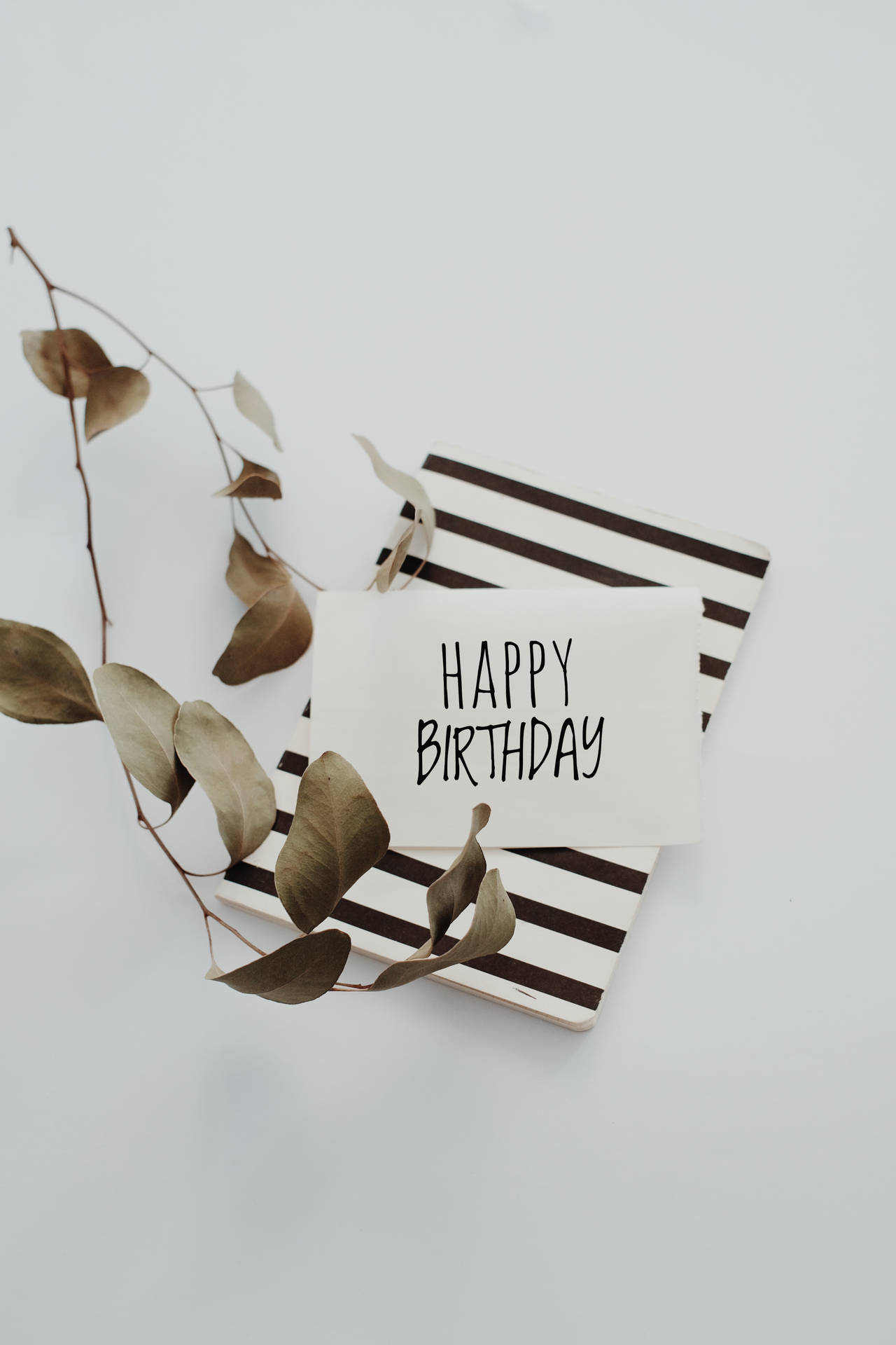 Birthday Black And White Greeting Card