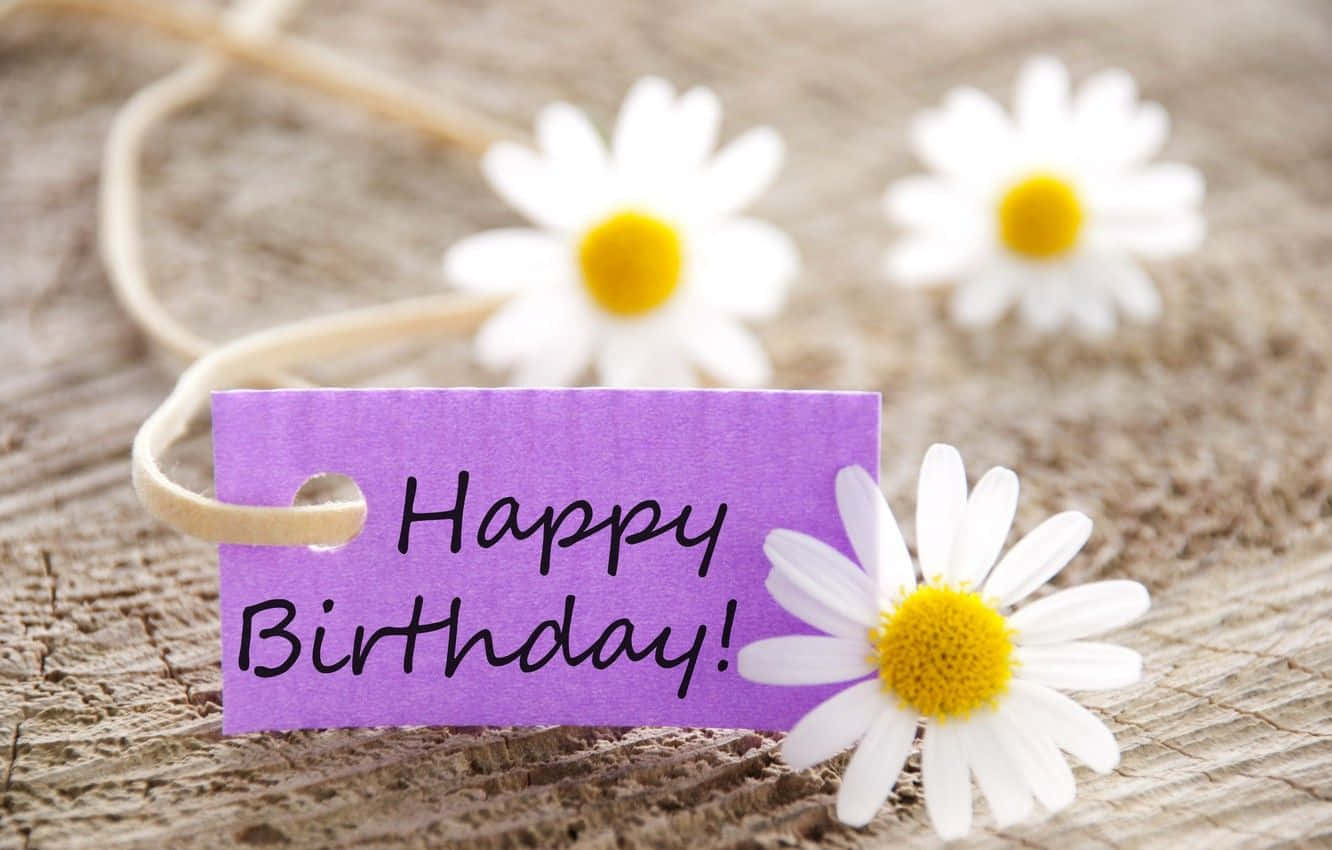 Cute Birthday Greeting And Flowers Picture