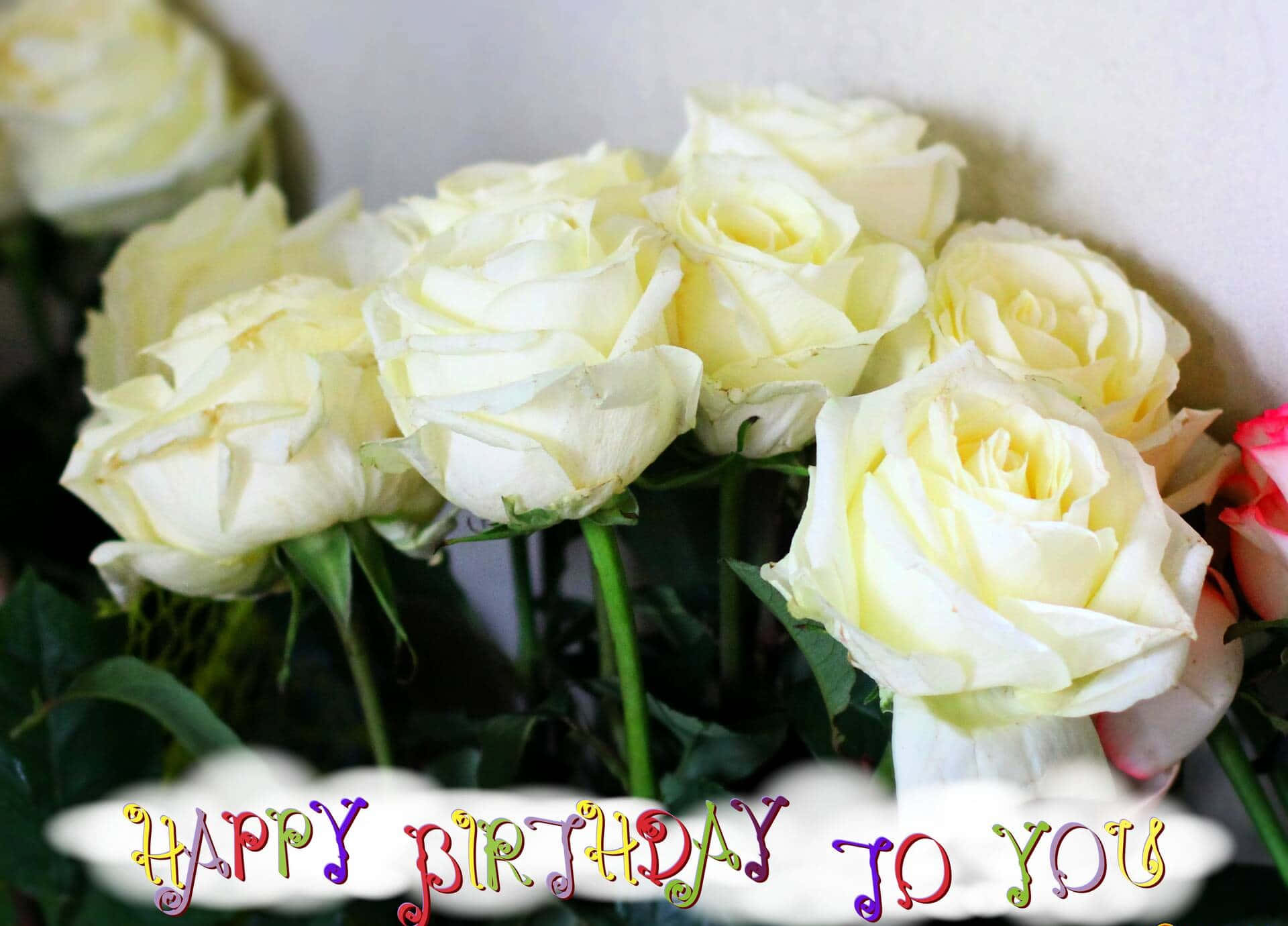 Birthday White Rose Flowers Picture