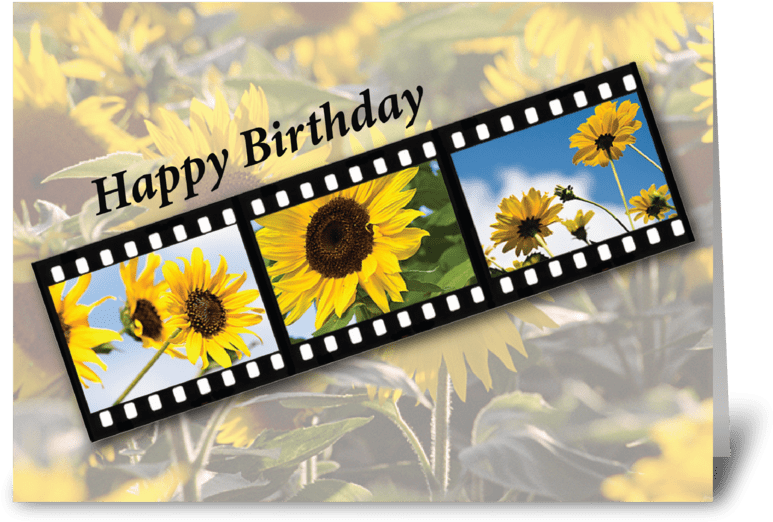 Birthday Greetings Filmstripwith Sunflowers PNG
