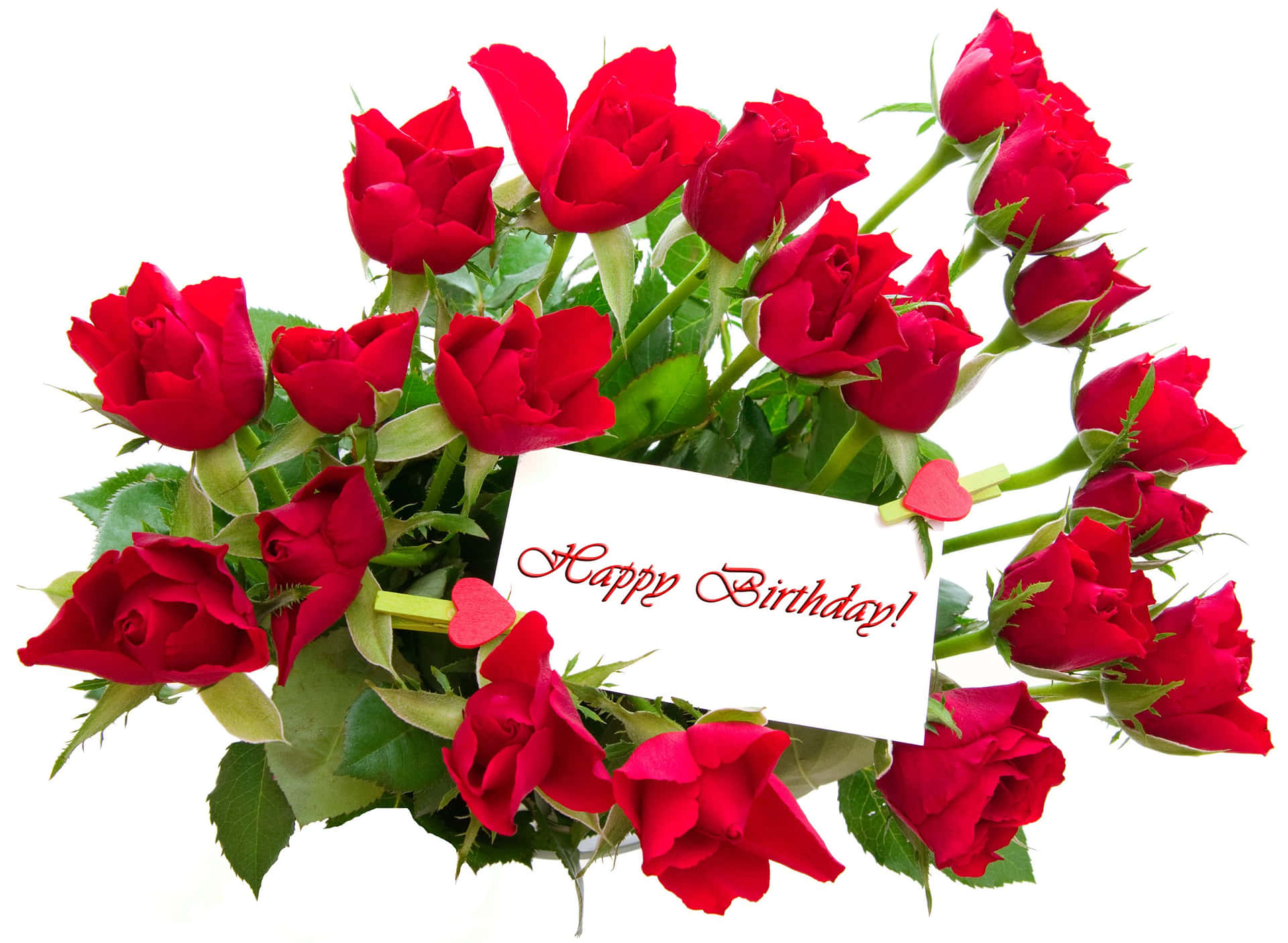 Download Birthday Message Red Rose Flowers Picture