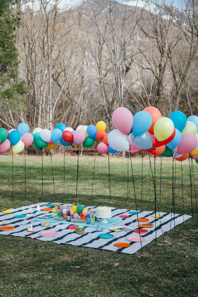 Birthday Party Picnic Balloons Picture