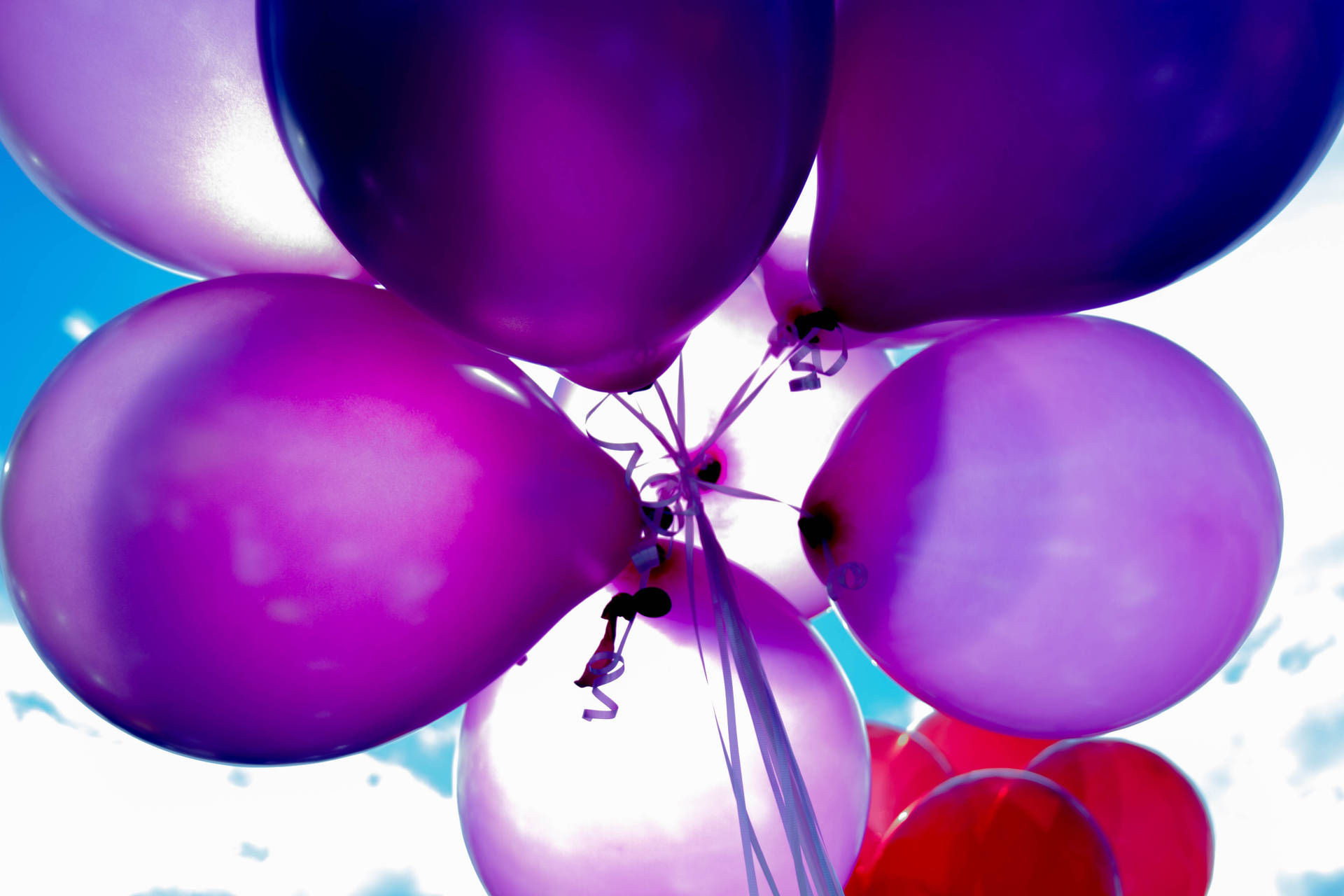Birthday Purple Balloons Wallpaper