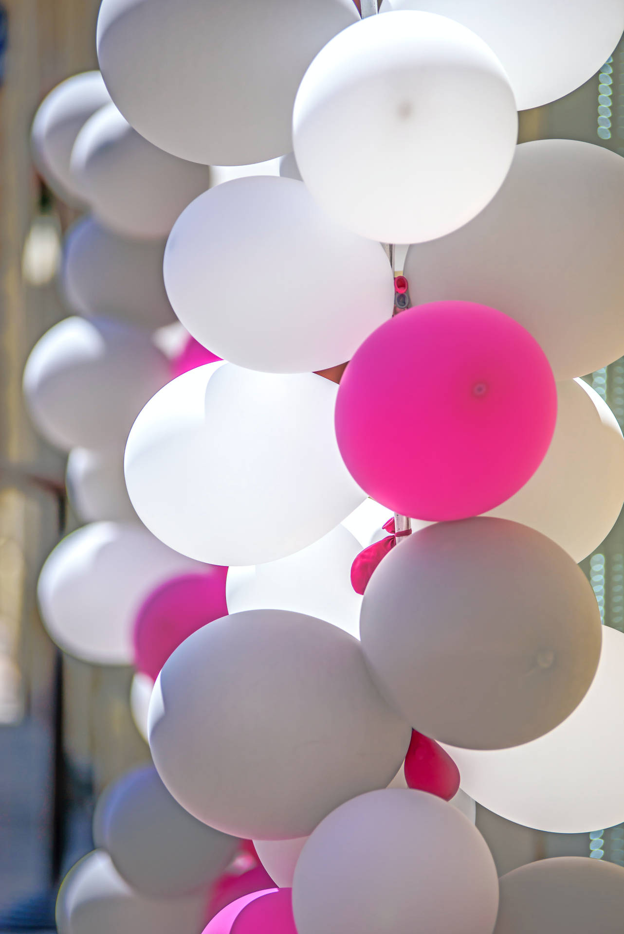 Birthday White Pink And Gray Balloons Wallpaper
