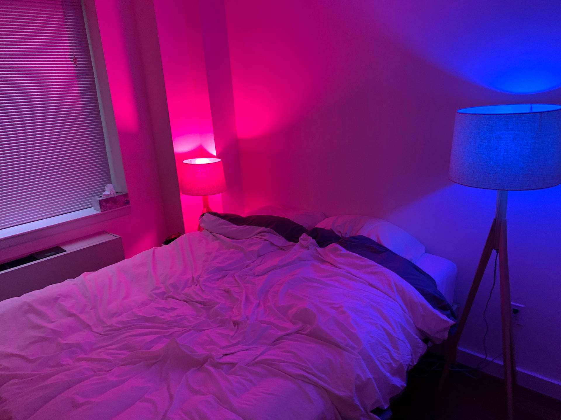 Bisexual Lit Bedroom Background