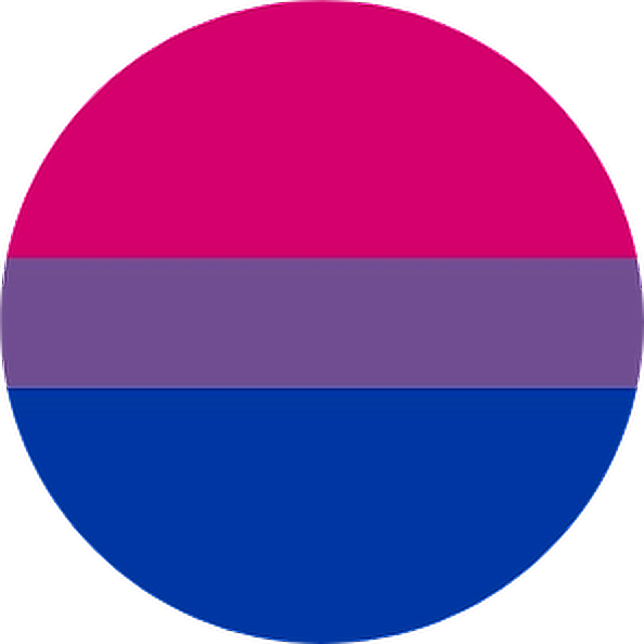 Bisexual Pride Flag Circle PNG