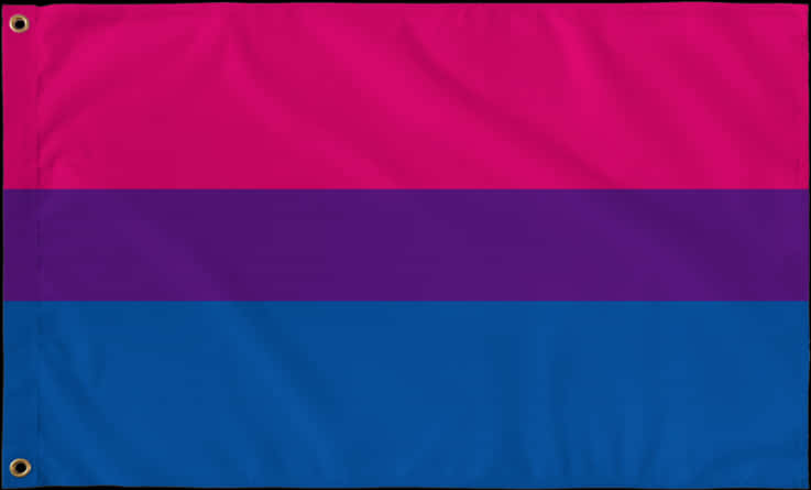 Bisexual Pride Flag Displayed PNG