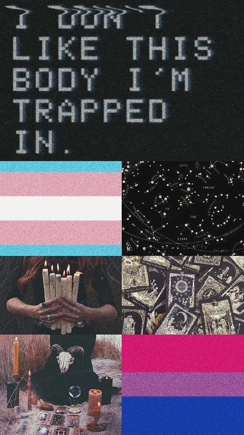 Bisexual Themed Collage Pfp Wallpaper