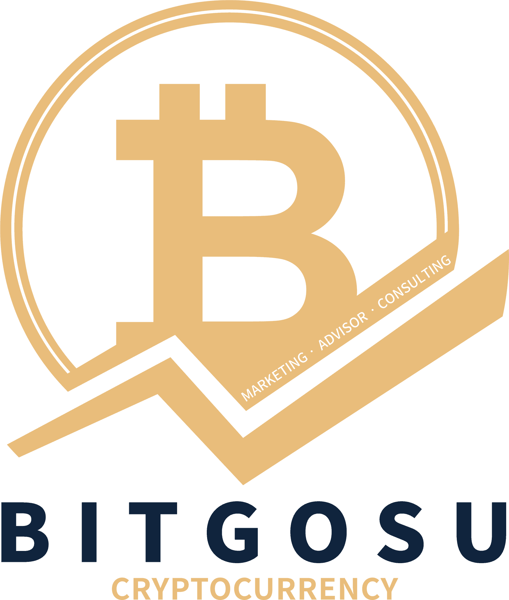 Bitcoin Consulting Logo PNG