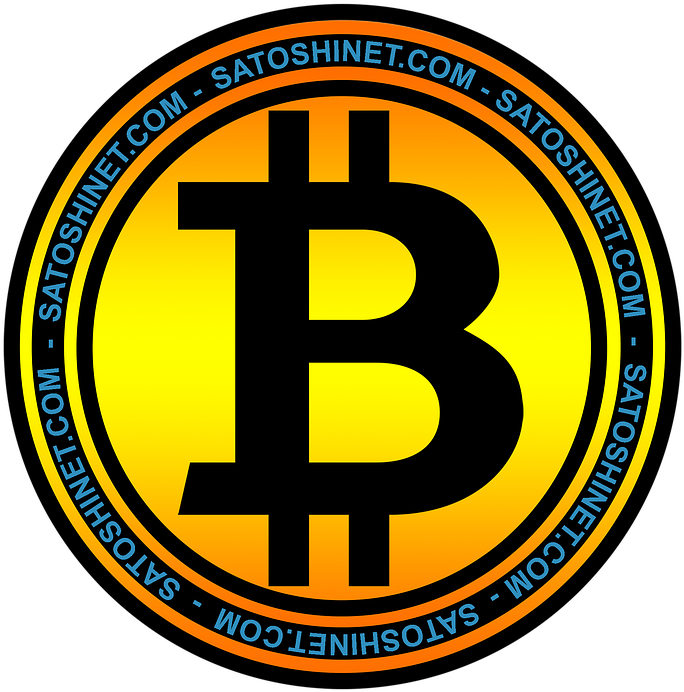 Bitcoin Logowith Satoshi Net Watermark PNG