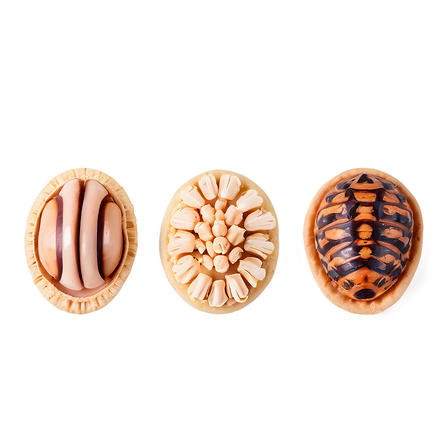 Bite-sized Concha Delicacies Png Kow PNG