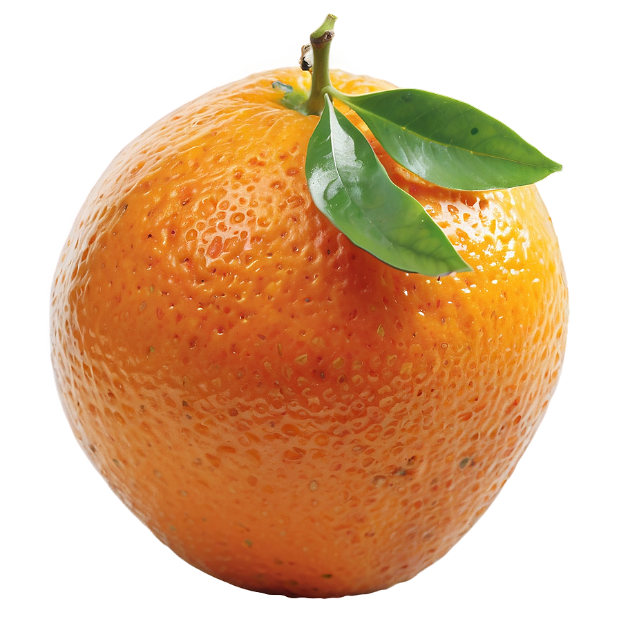 Bitter Orange Fruit Png 05032024 PNG