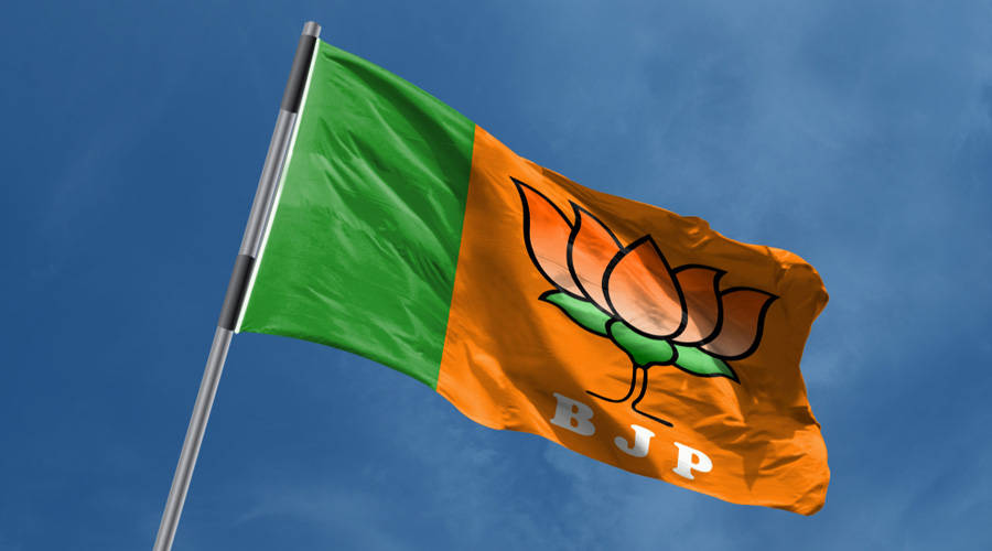 Bjp Flag Raised Against The Sky Picture