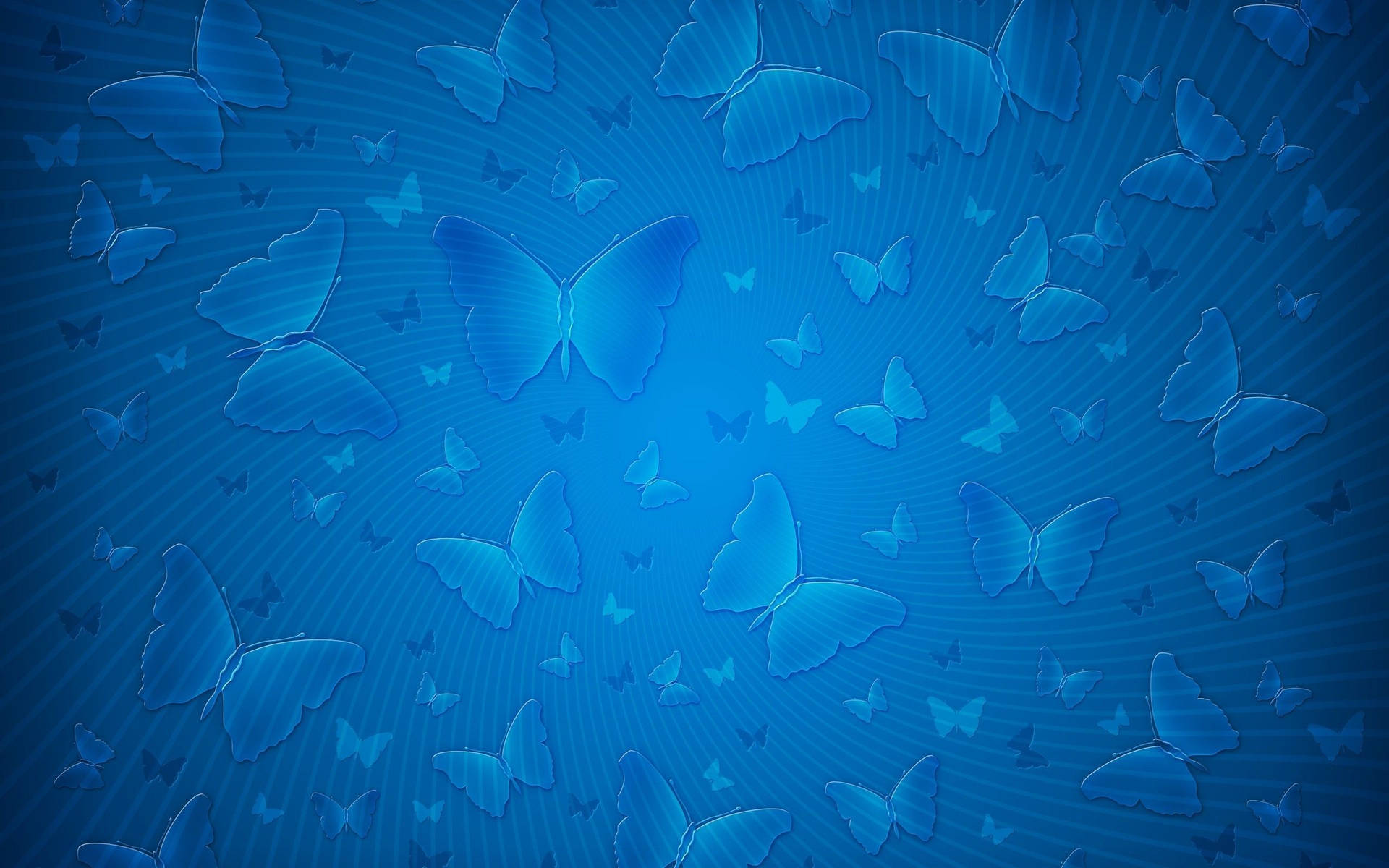 Blå Sommerfugle Almindelig Farve Wallpaper