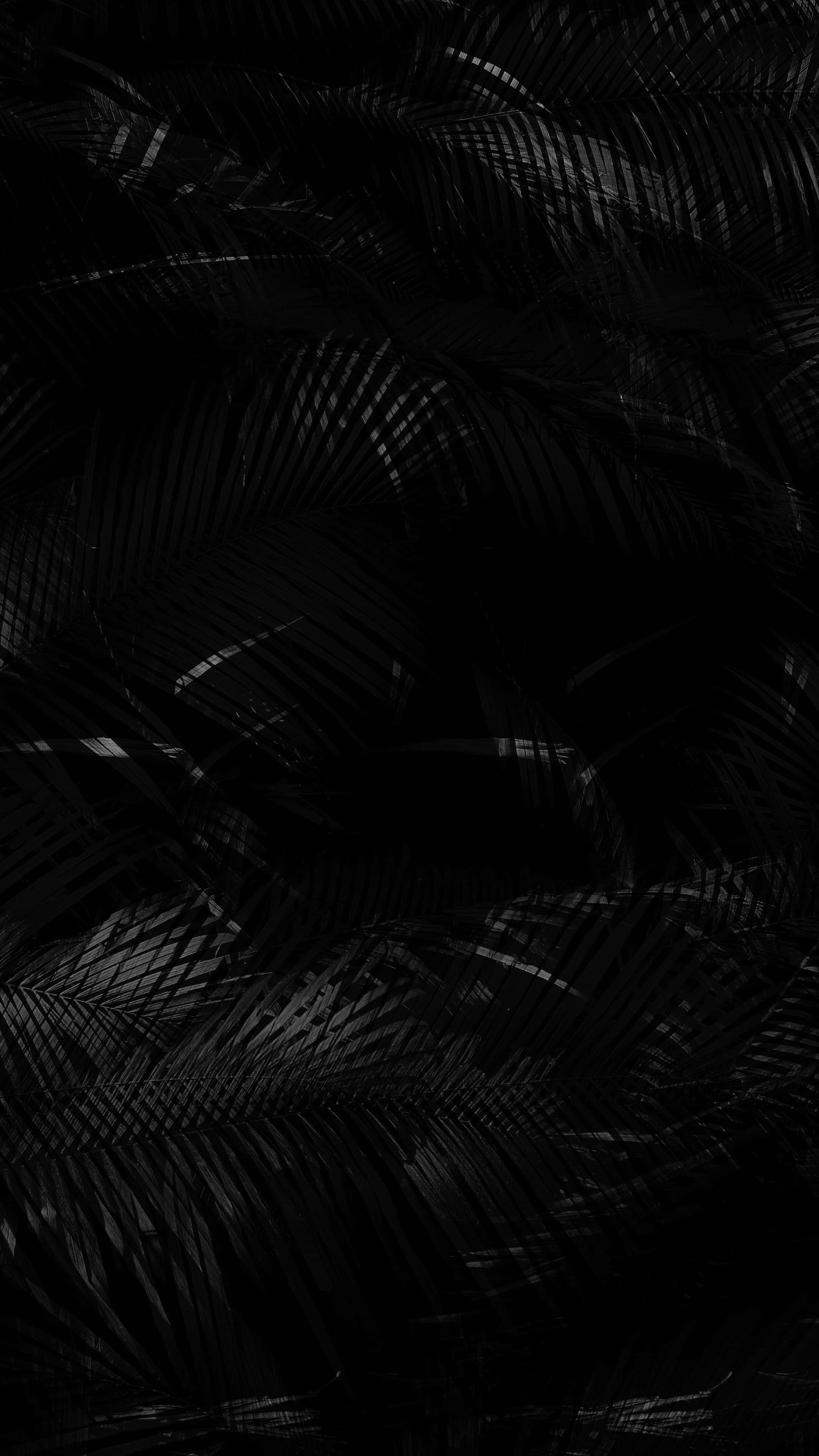 Black 2160 X 3840 Background