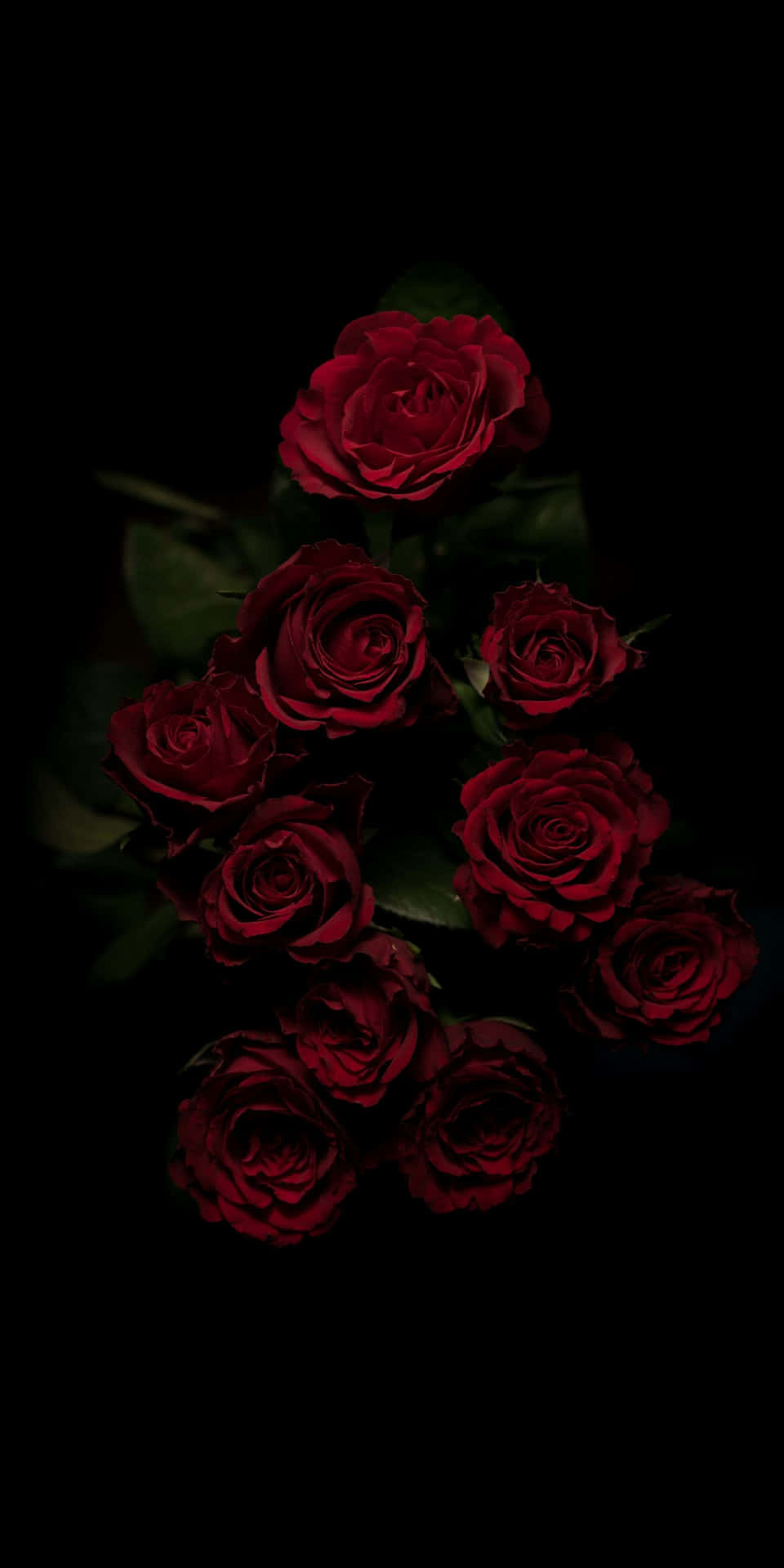 Red Roses In Black Aesthetic Background