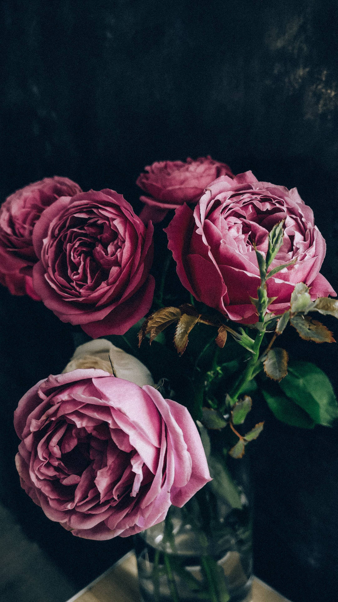 Black Aesthetic Rose In Vase Wallpaper