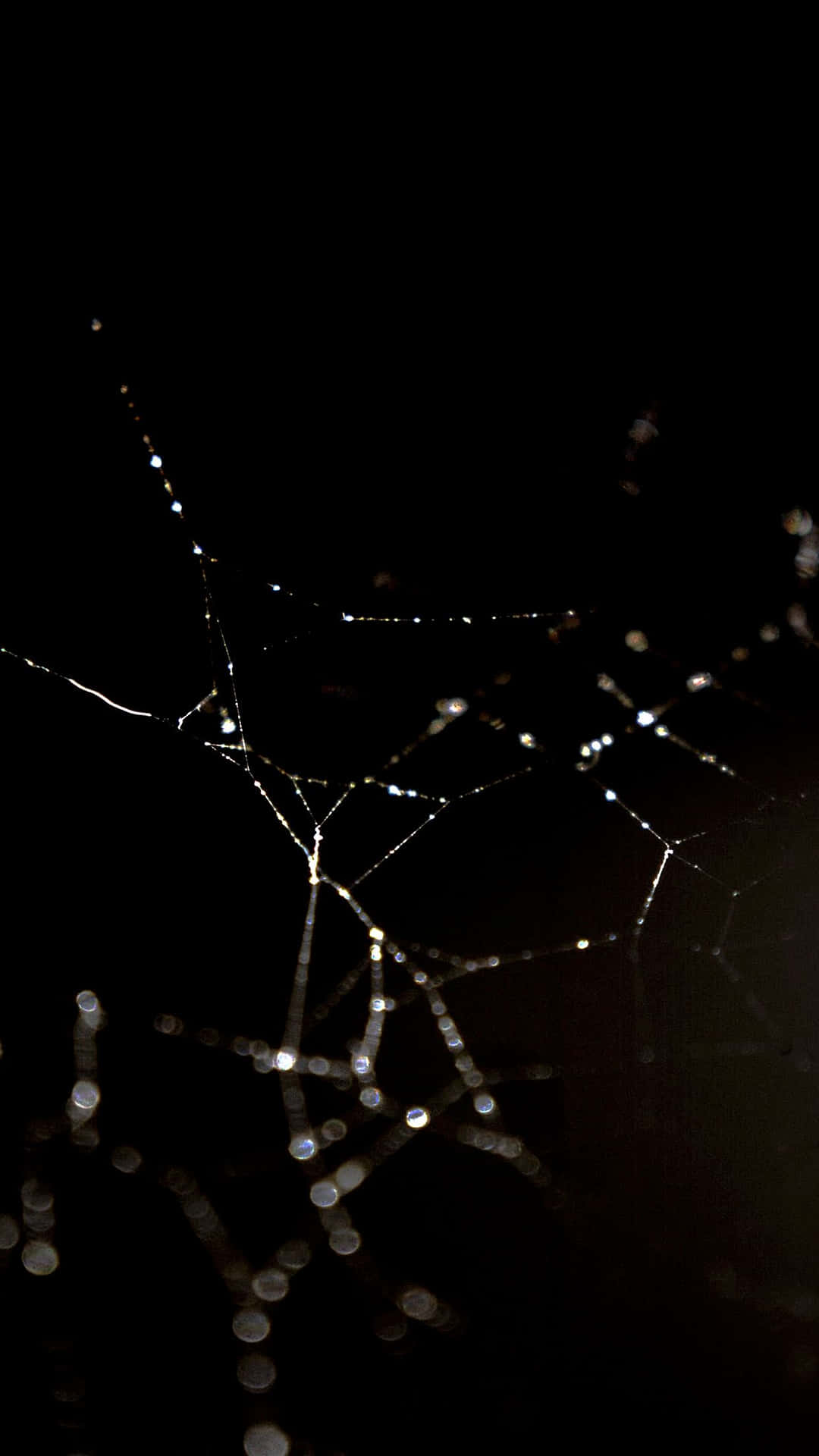 Black Aesthetic Spider Web Background