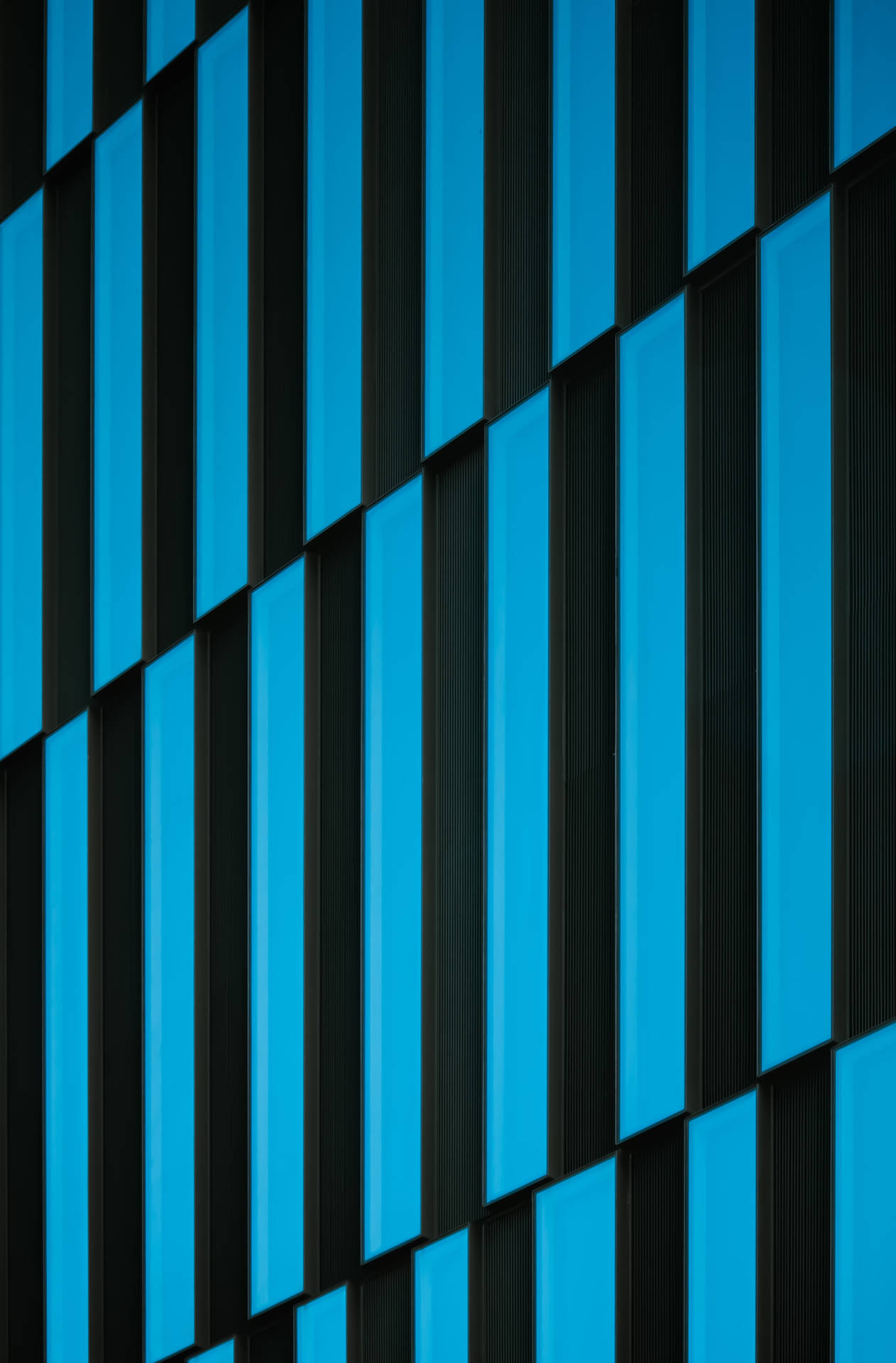 Black And Blue Stripes Picture
