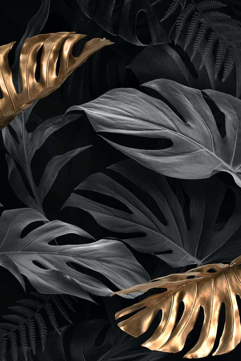 Black And Gold Aesthetic Leaves Wallpaper