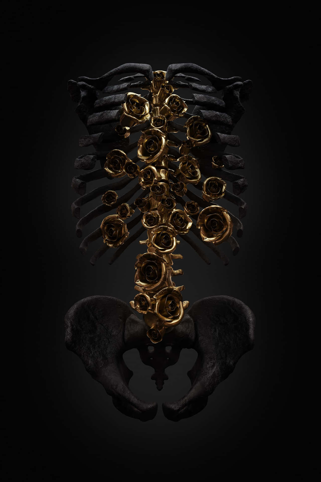 Black And Gold Aesthetic Accessory Wallpaper