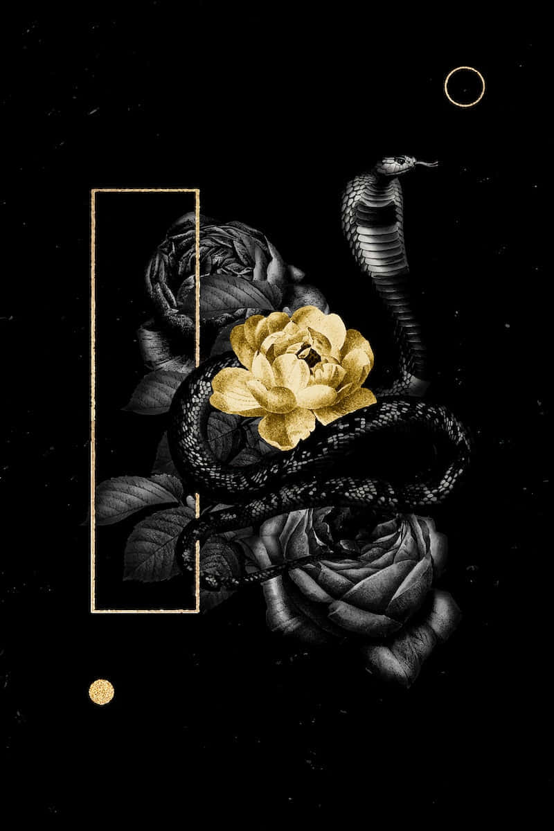 Premium Vector  Mystical gold frame on black background mobile phone  wallpaper
