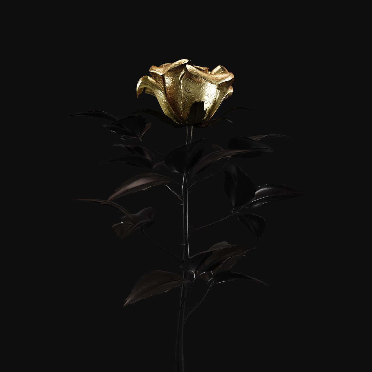 A Gold Rose On A Black Background Wallpaper